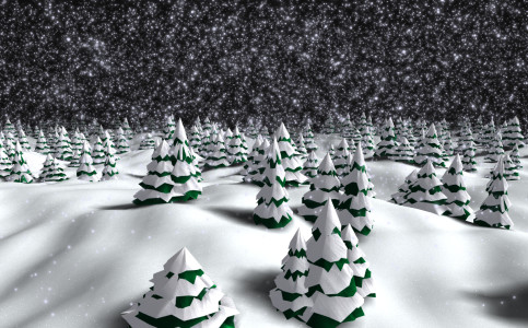 088_winter_night_forest